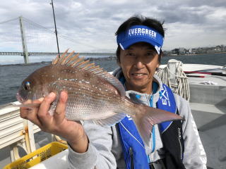 鯛サビキ　真鯛釣り