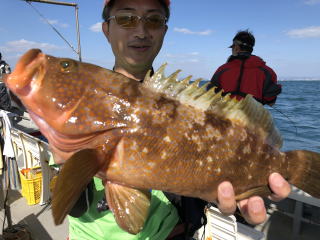 飲ませ釣り　呑ませ釣りヒラメ　アコウ