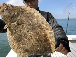 飲ませ釣り　呑ませ釣りヒラメ　アコウ