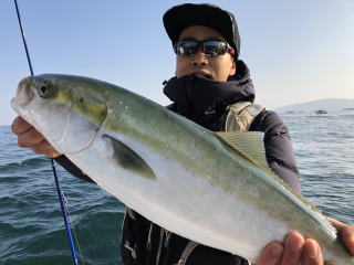 青物　ブリ　メジロ　サワラ　ヒラメ釣り呑ませ　泳がせ釣り