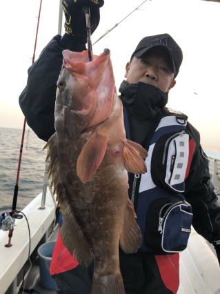 アコウ イワシの泳がせ釣り