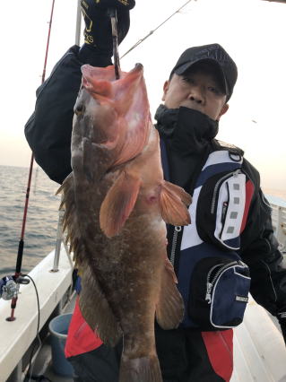 アコウ　イワシの泳がせ釣り