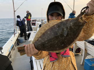 ヒラメ釣　イワシの泳がせ釣り