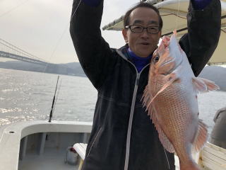 鯛サビキで明石鯛　爆釣