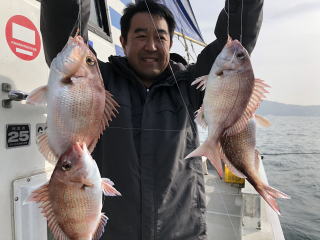 鯛サビキで明石鯛 爆釣