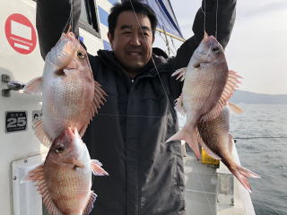 鯛サビキで明石鯛　爆釣