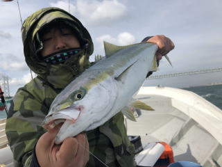 イワシの呑ませ釣り　青物狙いブリ　メジロ