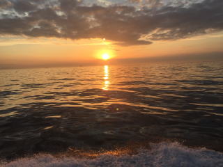 ポカポカ陽気の釣り日和