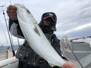 イワシを餌に泳がせ釣り　呑ませ釣り　青物&ヒラメ