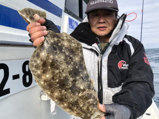 イワシを餌に泳がせ釣り　呑ませ釣り　青物&ヒラメ