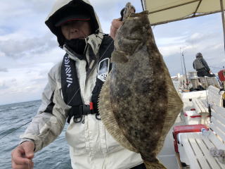 イワシを餌に泳がせ釣り　呑ませ釣り　青物&ヒラメ