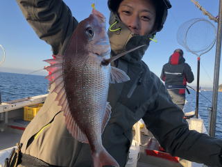 真鯛釣り　鯛サビキ