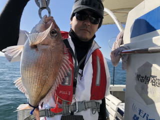 小豆島　鯛サビキ真鯛釣り