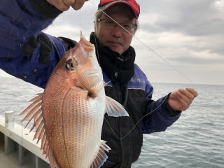 小豆島　鯛サビキ真鯛釣り