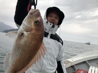 小豆島 鯛サビキ真鯛釣り