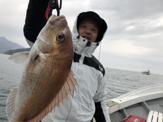 小豆島　鯛サビキ真鯛釣り