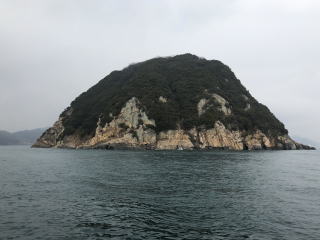 小豆島　鯛サビキ真鯛釣り