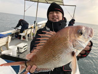 真鯛サビキ良型 爆釣り釣果