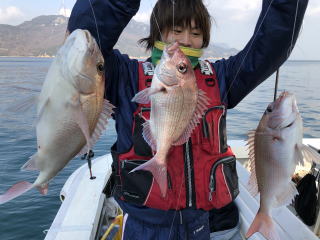 真鯛サビキ トリプル爆釣り釣果