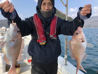 真鯛サビキW爆釣り釣果