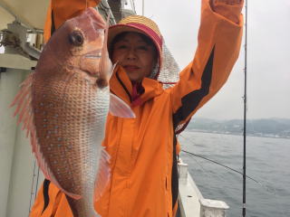 ビギナー様 真鯛釣り