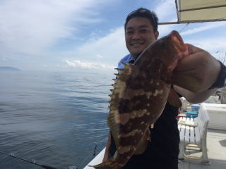喰わせサビキ アコウ