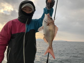 真鯛釣り　鯛サビキ釣り