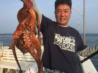 2kg真蛸