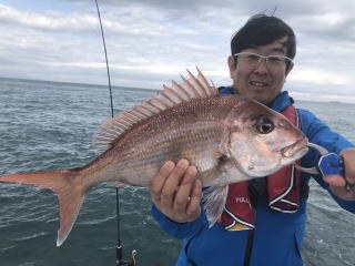 真鯛釣り 鯛サビキ