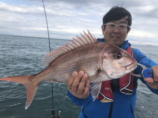 真鯛釣り　鯛サビキ