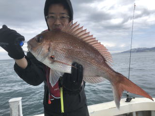 真鯛釣り 鯛サビキ