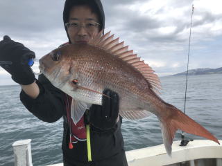 真鯛釣り　鯛サビキ