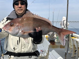 鳴門鯛 60
