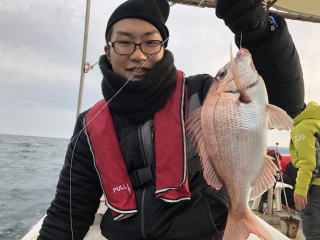 鳴門鯛　真鯛サビキ釣り