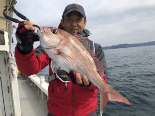 鳴門鯛　真鯛サビキ釣り