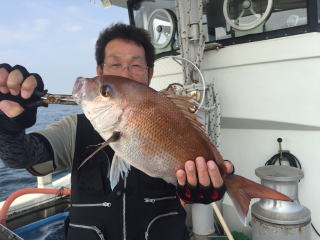 イワシ 真鯛