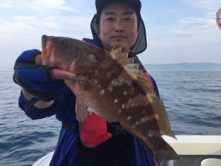 鰯の泳がせ釣り