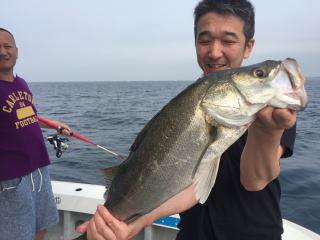 喰わせサビキ スズキ