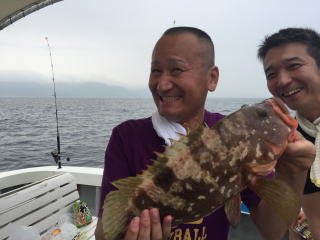喰わせサビキ アコウ