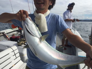 喰わせサビキ鰤