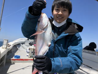 ビギナー様 真鯛釣り