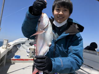 ビギナー様　真鯛釣り