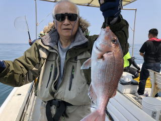 明石鯛釣り