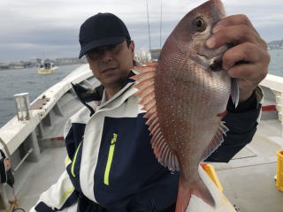 淡路島 釣り船 真鯛 明石鯛釣り