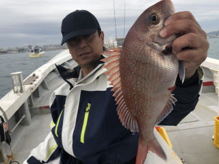 淡路島　釣り船　真鯛　明石鯛釣り