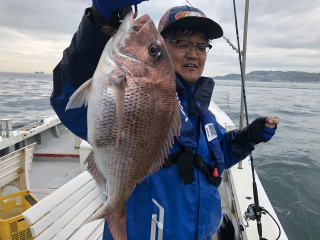 淡路島 釣り船 真鯛 明石鯛釣り
