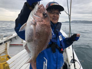 淡路島　釣り船　真鯛　明石鯛釣り