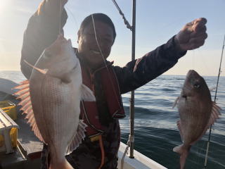 真鯛サビキ　淡路島　釣り船　三幸丸