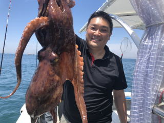 たこエギ　蛸餌木　たこ釣り　明石蛸