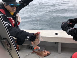 淡路島　釣り船　鯛釣り爆釣